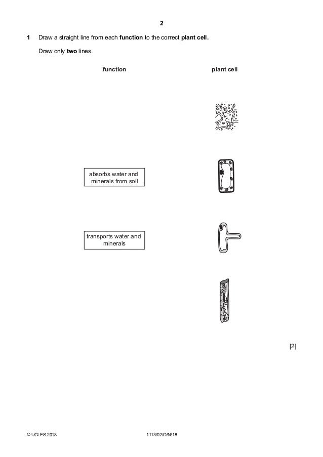 Cambridge Lower Secondary Checkpoint Past Paper P2 October 2018 Scie Cambridge Lower Secondary Checkpoint Past Paper P2 October 2018 Scie