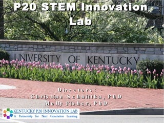 P20 STEM Innovation Lab Directors: Christine Schnittka, PhD Molly Fisher, PhD 