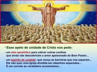 * Esse apelo de unidade de Cristo nos pede:
- um zelo apostólico para cativar outras ovelhas
que ainda não descobriram o amor apaixonado do Bom Pastor...
- um espírito de unidade: que vença as barreiras que nos separam...
Ele não quer uma Igreja dividida em rebanhos separados...
É um convite ao verdadeiro ecumenismo...
 