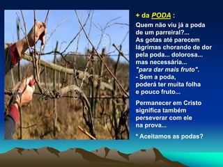 + da PODA :
Quem não viu já a poda
de um parreiral?...
As gotas até parecem
lágrimas chorando de dor
pela poda... dolorosa...
mas necessária...
"para dar mais fruto".
- Sem a poda,
poderá ter muita folha
e pouco fruto...
Permanecer em Cristo
significa também
perseverar com ele
na prova...
* Aceitamos as podas?
 