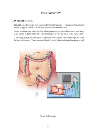 COLONOSCOPY | DOCX