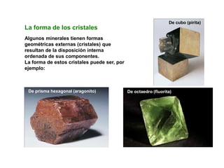 La forma de los cristales
Algunos minerales tienen formas
geométricas externas (cristales) que
resultan de la disposición interna
ordenada de sus componentes.
La forma de estos cristales puede ser, por
ejemplo:
De prisma hexagonal (aragonito) De octaedro (fluorita)
De cubo (pirita)
 