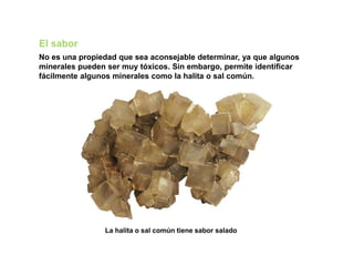 El sabor
No es una propiedad que sea aconsejable determinar, ya que algunos
minerales pueden ser muy tóxicos. Sin embargo, permite identificar
fácilmente algunos minerales como la halita o sal común.
La halita o sal común tiene sabor salado
 