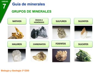 UNIDAD
7 Guía de minerales
Biología y Geología 3º ESO
GRUPOS DE MINERALES
NATIVOS
ÓXIDOS E
HIDRÓXIDOS
SULFUROS SULFATOS
HALUROS CARBONATOS FOSFATOS SILICATOS
 