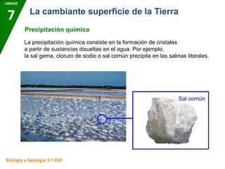 UNIDAD
7
Biología y Geología 3.º ESO
La cambiante superficie de la Tierra
Precipitación química
La precipitación química consiste en la formación de cristales
a partir de sustancias disueltas en el agua. Por ejemplo,
la sal gema, cloruro de sodio o sal común precipita en las salinas litorales.
Sal común
 