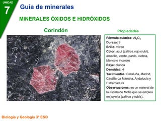 UNIDAD
7
Biología y Geología 3º ESO
MINERALES ÓXIDOS E HIDRÓXIDOS
Fórmula química: Al2O3
Dureza: 9
Brillo: vítreo
Color: azul (zafiro), rojo (rubí),
amarillo, verde, pardo, violeta,
blanco o incoloro
Raya: blanca
Densidad: 4
Yacimientos: Cataluña, Madrid,
Castilla-La Mancha, Andalucía y
Extremadura
Observaciones: es un mineral de
la escala de Mohs que se emplea
en joyería (zafiros y rubís).
Propiedades
Corindón
Guía de minerales
 