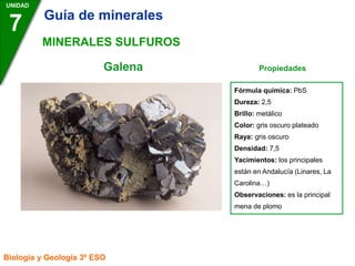 Galena Propiedades
UNIDAD
7
Biología y Geología 3º ESO
MINERALES SULFUROS
Fórmula química: PbS
Dureza: 2,5
Brillo: metálico
Color: gris oscuro plateado
Raya: gris oscuro
Densidad: 7,5
Yacimientos: los principales
están en Andalucía (Linares, La
Carolina…)
Observaciones: es la principal
mena de plomo
Guía de minerales
 