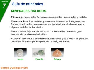 UNIDAD
7
Biología y Geología 3º ESO
MINERALES HALUROS
Fórmula general: sales formadas por elementos halogenados y metales
Características: Los metales que se combinan con los halógenos para
formar los minerales de esta clase son los alcalinos, alcalino-térreos y
algunos metales de transición.
Muchos tienen importancia industrial como materias primas de gran
importancia en diversas industrias.
Aparecen asociados a ambientes sedimentarios y se encuentran grandes
depósitos formados por evaporación de antiguos mares.
Fluorita
Halita Silvina
Guía de minerales
 