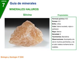 Silvina Propiedades
UNIDAD
7
Biología y Geología 3º ESO
MINERALES HALUROS
Fórmula química: KCl
Dureza: 2,5
Brillo: vítreo
Color: blanco azulado, rojizo o
parduzco
Raya: blanca
Densidad: 2
Yacimientos: Barcelona
Observaciones: Acompaña a la
sal en muchos yacimientos, y da
el color violeta a la llama de los
sopletes.
Guía de minerales
 
