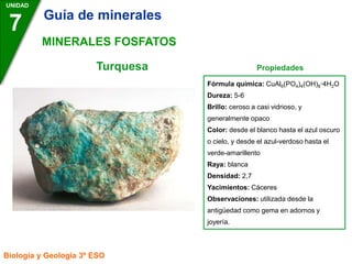Turquesa Propiedades
UNIDAD
7
Biología y Geología 3º ESO
MINERALES FOSFATOS
Fórmula química: CuAl6(PO4)4(OH)8·4H2O
Dureza: 5-6
Brillo: ceroso a casi vidrioso, y
generalmente opaco
Color: desde el blanco hasta el azul oscuro
o cielo, y desde el azul-verdoso hasta el
verde-amarillento
Raya: blanca
Densidad: 2,7
Yacimientos: Cáceres
Observaciones: utilizada desde la
antigüedad como gema en adornos y
joyería.
Guía de minerales
 