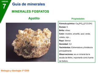 Apatito Propiedades
UNIDAD
7
Biología y Geología 3º ESO
MINERALES FOSFATOS
Fórmula química: Ca5(PO4)3(F,Cl,OH)
Dureza: 5
Brillo: vítreo
Color: incoloro, amarillo, azul, verde,
violeta, rojo…
Raya: blanca
Densidad: 3,2
Yacimientos: Extremadura y Andalucía
principalmente
Observaciones: es un mineral de la
escala de Mohs, importante como fuente
de fósforo.
Guía de minerales
 