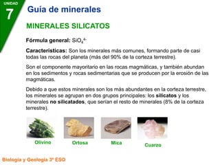 UNIDAD
7
Biología y Geología 3º ESO
MINERALES SILICATOS
Fórmula general: SiO4
4-
Características: Son los minerales más comunes, formando parte de casi
todas las rocas del planeta (más del 90% de la corteza terrestre).
Son el componente mayoritario en las rocas magmáticas, y también abundan
en los sedimentos y rocas sedimentarias que se producen por la erosión de las
magmáticas.
Debido a que estos minerales son los más abundantes en la corteza terrestre,
los minerales se agrupan en dos grupos principales: los silicatos y los
minerales no silicatados, que serían el resto de minerales (8% de la corteza
terrestre).
Olivino Ortosa Mica Cuarzo
Guía de minerales
 