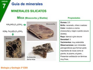 Mica (Moscovita y Biotita) Propiedades
UNIDAD
7
Biología y Geología 3º ESO
MINERALES SILICATOS
Dureza: 2,5
Brillo: nacarado, vítreo o sedoso
Color: incoloro o crema
(moscovita) y negro o pardo oscuro
(biotita).
Raya: blanca o gris oscura
Densidad: 3
Yacimientos: muy extendida
Observaciones: son minerales
petrogenéticos que forman parte
importante de rocas como el
granito, la pizarra, el gneis…
Presentan exfoliación en láminas
muy finas.
Moscovita
Exfoliación
de la mica
KAl2(AlSi3O10)(OH)2
K(Mg, Fe)3AlSi3O10(OH)2
Biotita
Guía de minerales
 