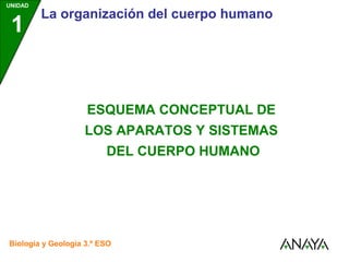 UNIDAD
1
La organización del cuerpo humano
Biología y Geología 3.º ESO
ESQUEMA CONCEPTUAL DE
LOS APARATOS Y SISTEMAS
DEL CUERPO HUMANO
 