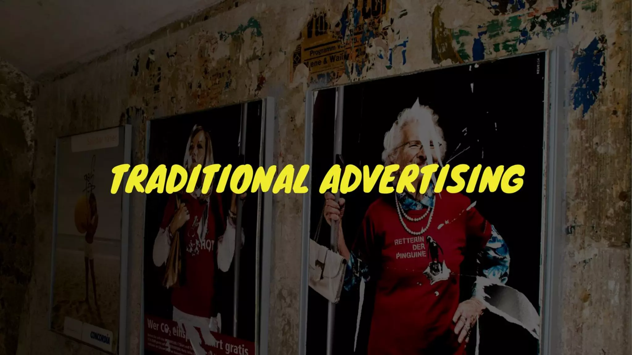 Understanding Search Engine Optimization: The Path To Organic Placement