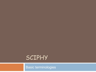 SCIPHY
Basic terminologies
 