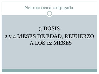 Neumococica conjugada. 
3 DOSIS 
2 y 4 MESES DE EDAD, REFUERZO 
A LOS 12 MESES 
 
