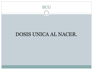 BCG 
DOSIS UNICA AL NACER. 
 