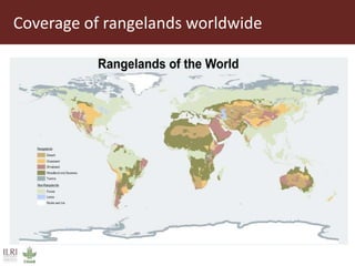 Solutions for managing and protecting rangelands:  Ongoing research and innovations through R4D