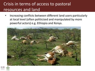 Solutions for managing and protecting rangelands:  Ongoing research and innovations through R4D