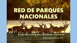 RED DE PARQUES
NACIONALES
Espacios protegidos de interés nacional.
Enzo Cardelli Ruiz 4ºB
 