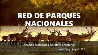 RED DE PARQUES
NACIONALES
Espacios protegidos de interés nacional,
Javier Diego Angulo 4ºB
 
