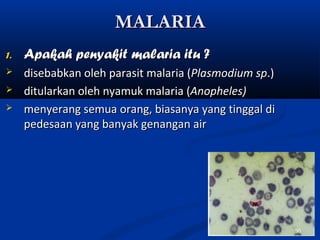 MALARIAMALARIA
1.1. Apakah penyakit malaria itu ?Apakah penyakit malaria itu ?
 disebabkan oleh parasit malaria (disebabkan oleh parasit malaria (Plasmodium spPlasmodium sp.).)
 ditularkan oleh nyamuk malaria (ditularkan oleh nyamuk malaria (Anopheles)Anopheles)
 menyerang semua orang, biasanya yang tinggal dimenyerang semua orang, biasanya yang tinggal di
pedesaan yang banyak genangan airpedesaan yang banyak genangan air
50
 