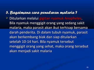5. Bagaimana cara penularan malaria ?5. Bagaimana cara penularan malaria ?
 Ditularkan melaluiDitularkan melalui gigitan nyamuk Anophelesgigitan nyamuk Anopheles..
Bila nyamuk menggigit orang yang sedang sakitBila nyamuk menggigit orang yang sedang sakit
malaria, maka parasit akan ikut terhisap bersamamalaria, maka parasit akan ikut terhisap bersama
darah penderita. Di dalam tubuh nyamuk, parasitdarah penderita. Di dalam tubuh nyamuk, parasit
akan berkembang biak dan siap ditularkanakan berkembang biak dan siap ditularkan
setelah 10-14 hari. Bila nyamuk tersebutsetelah 10-14 hari. Bila nyamuk tersebut
menggigit orang yang sehat, maka orang tersebutmenggigit orang yang sehat, maka orang tersebut
akan menjadi sakit malariaakan menjadi sakit malaria
55
 
