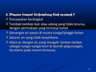 6. Dimana tempat berkembang biak nyamuk ?6. Dimana tempat berkembang biak nyamuk ?
 Persawahan bertingkatPersawahan bertingkat
 Tambak-tambak ikan atau udang yang tidak terurus,Tambak-tambak ikan atau udang yang tidak terurus,
dengan permukaan yang tertutup lumutdengan permukaan yang tertutup lumut
 Genangan air payau di muara sungai/pinggir hutanGenangan air payau di muara sungai/pinggir hutan
 Saluran air yang tidak terpeliharaSaluran air yang tidak terpelihara
 Mata air dengan air yang mengalir lambat-lambatMata air dengan air yang mengalir lambat-lambat
sebagai sungai-sungai kecil di daerah pegunungan,sebagai sungai-sungai kecil di daerah pegunungan,
terutama pada musim kemarauterutama pada musim kemarau
57
 