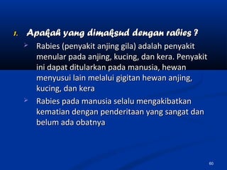 1.1. Apakah yang dimaksud dengan rabies ?Apakah yang dimaksud dengan rabies ?
 Rabies (penyakit anjing gila) adalah penyakitRabies (penyakit anjing gila) adalah penyakit
menular pada anjing, kucing, dan kera. Penyakitmenular pada anjing, kucing, dan kera. Penyakit
ini dapat ditularkan pada manusia, hewanini dapat ditularkan pada manusia, hewan
menyusui lain melalui gigitan hewan anjing,menyusui lain melalui gigitan hewan anjing,
kucing, dan kerakucing, dan kera
 Rabies pada manusia selalu mengakibatkanRabies pada manusia selalu mengakibatkan
kematian dengan penderitaan yang sangat dankematian dengan penderitaan yang sangat dan
belum ada obatnyabelum ada obatnya
60
 