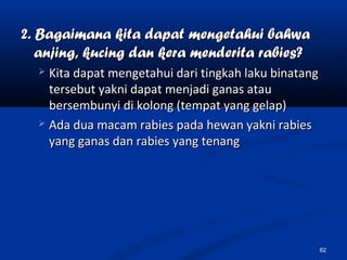 2. Bagaimana kita dapat mengetahui bahwa2. Bagaimana kita dapat mengetahui bahwa
anjing, kucing dan kera menderita rabies?anjing, kucing dan kera menderita rabies?
 Kita dapat mengetahui dari tingkah laku binatangKita dapat mengetahui dari tingkah laku binatang
tersebut yakni dapat menjadi ganas atautersebut yakni dapat menjadi ganas atau
bersembunyi di kolong (tempat yang gelap)bersembunyi di kolong (tempat yang gelap)
 Ada dua macam rabies pada hewan yakni rabiesAda dua macam rabies pada hewan yakni rabies
yang ganas dan rabies yang tenangyang ganas dan rabies yang tenang
62
 