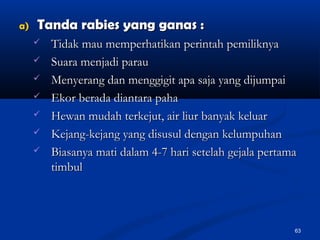 a)a) Tanda rabies yang ganas :Tanda rabies yang ganas :
 Tidak mau memperhatikan perintah pemiliknyaTidak mau memperhatikan perintah pemiliknya
 Suara menjadi parauSuara menjadi parau
 Menyerang dan menggigit apa saja yang dijumpaiMenyerang dan menggigit apa saja yang dijumpai
 Ekor berada diantara pahaEkor berada diantara paha
 Hewan mudah terkejut, air liur banyak keluarHewan mudah terkejut, air liur banyak keluar
 Kejang-kejang yang disusul dengan kelumpuhanKejang-kejang yang disusul dengan kelumpuhan
 Biasanya mati dalam 4-7 hari setelah gejala pertamaBiasanya mati dalam 4-7 hari setelah gejala pertama
timbultimbul
63
 