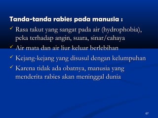 Tanda-tanda rabies pada manusia :Tanda-tanda rabies pada manusia :
 Rasa takut yang sangat pada air (hydrophobia),Rasa takut yang sangat pada air (hydrophobia),
peka terhadap angin, suara, sinar/cahayapeka terhadap angin, suara, sinar/cahaya
 Air mata dan air liur keluar berlebihanAir mata dan air liur keluar berlebihan
 Kejang-kejang yang disusul dengan kelumpuhanKejang-kejang yang disusul dengan kelumpuhan
 Karena tidak ada obatnya, manusia yangKarena tidak ada obatnya, manusia yang
menderita rabies akan meninggal duniamenderita rabies akan meninggal dunia
67
 