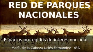 RED DE PARQUES
NACIONALES
Espacios protegidos de interés nacional
María de la Cabeza Uclés Fernández 4ºA
 