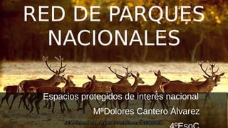 RED DE PARQUES
NACIONALES
Espacios protegidos de interés nacional
MªDolores Cantero Álvarez
 