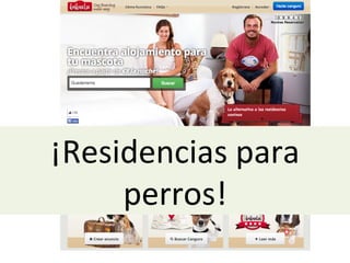 ¡Residencias	
  para	
  
perros!	
  
 