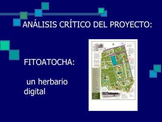 ANÁLISIS CRÍTICO DEL PROYECTO:
FITOATOCHA:
un herbario
digital
 