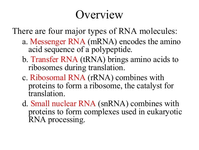 biochemistry transcription rna biosynsthesis 3 types of rna