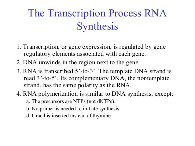 thesis transcription thesis transcription