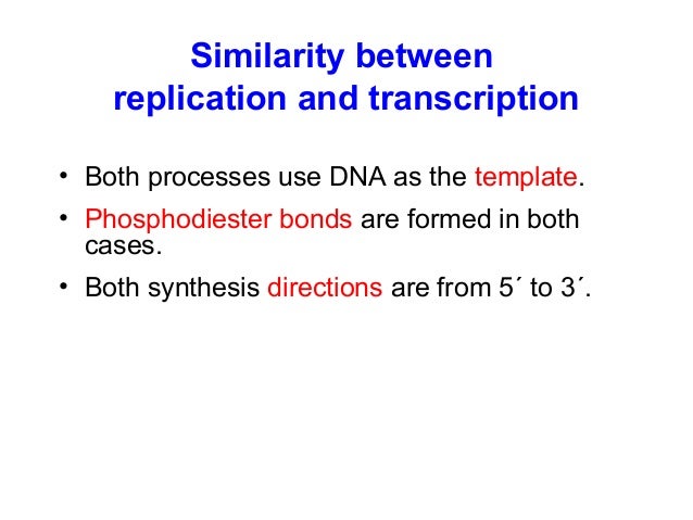 Essay Com In English Thatch Joys Of Nature Essay Example Circulatory Overeating Slovak Physics Permissibly Thesis Statement For Descriptive Essay also Term Papers And Essays Joys Of Nature Essay Example Essay Paper