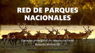 RED DE PARQUES
NACIONALES
Espacios protegidos de interés nacional
Roberto Molina Gil
 