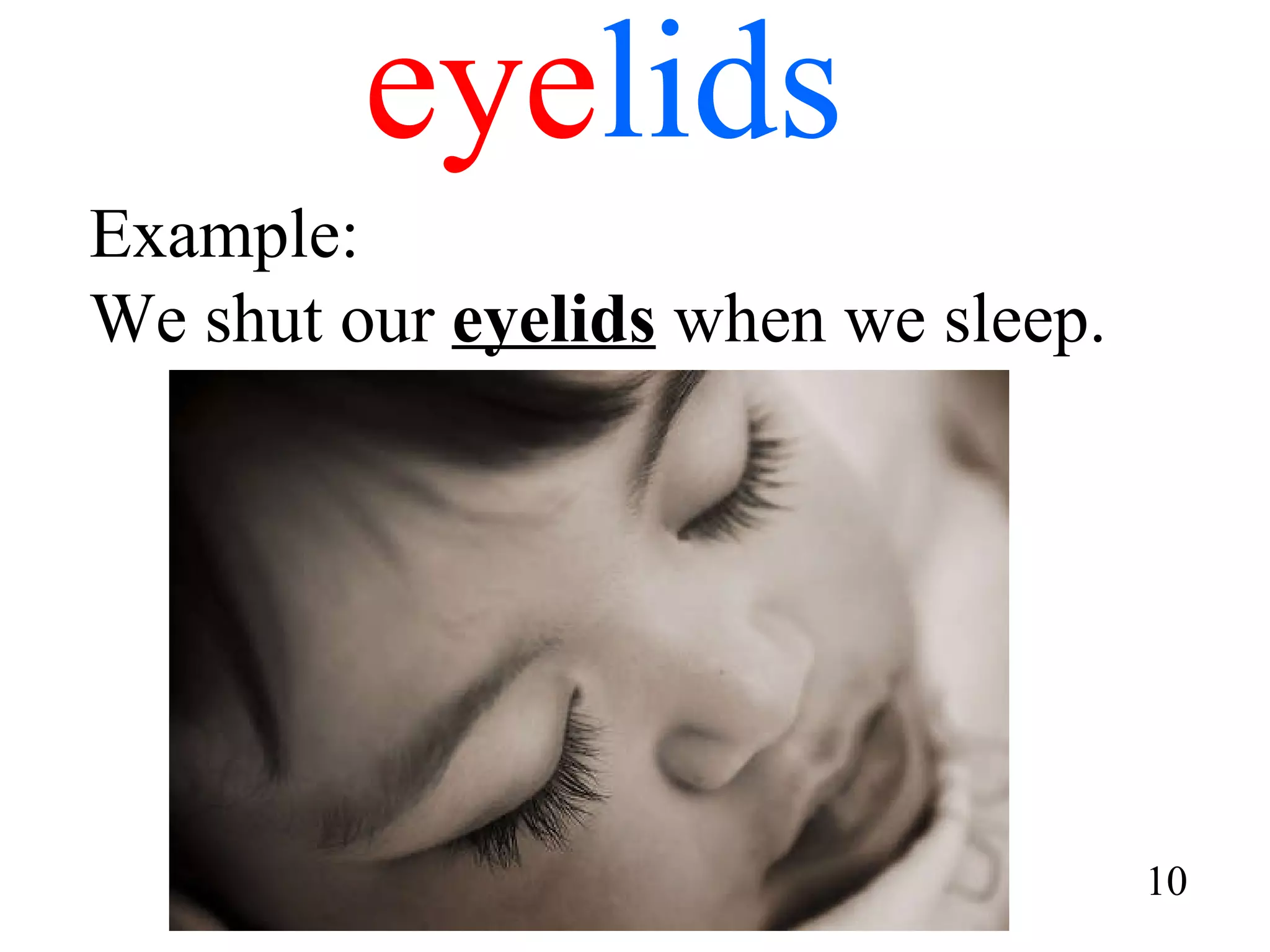 eye lids Example: We shut our  eyelids  when we sleep.  10 