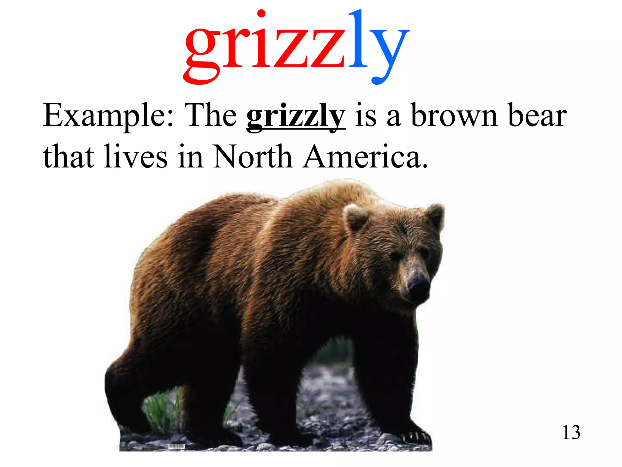 grizz ly Example: The  grizzly  is a brown bear that lives in North America. 13 