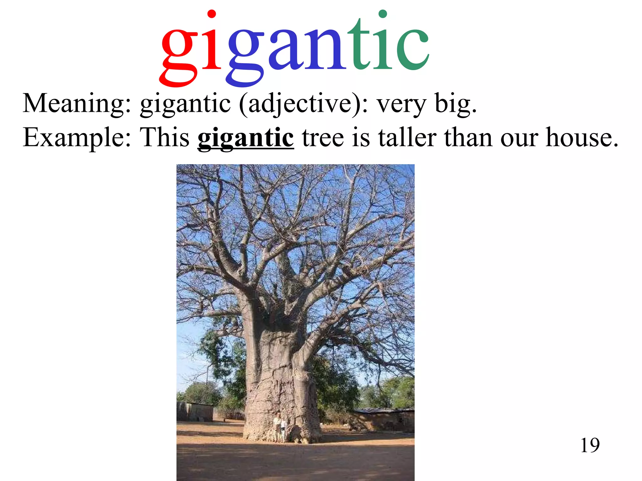 gi gan tic Meaning: gigantic (adjective): very big. Example: This  gigantic  tree is taller than our house. 19 