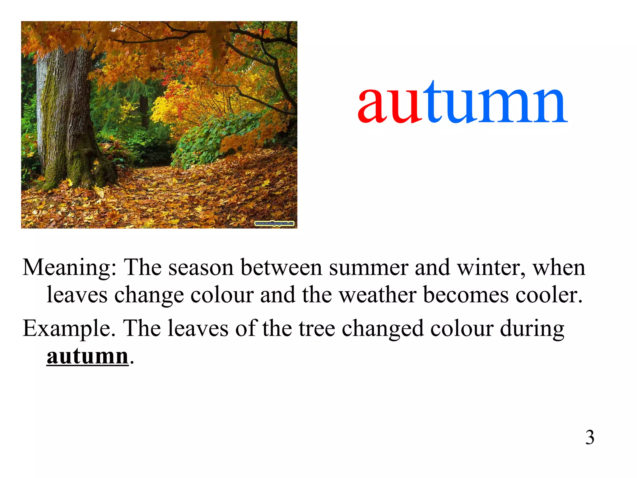 au tumn Meaning: The season between summer and winter, when leaves change colour and the weather becomes cooler. Example. The leaves of the tree changed colour during  autumn . 3 