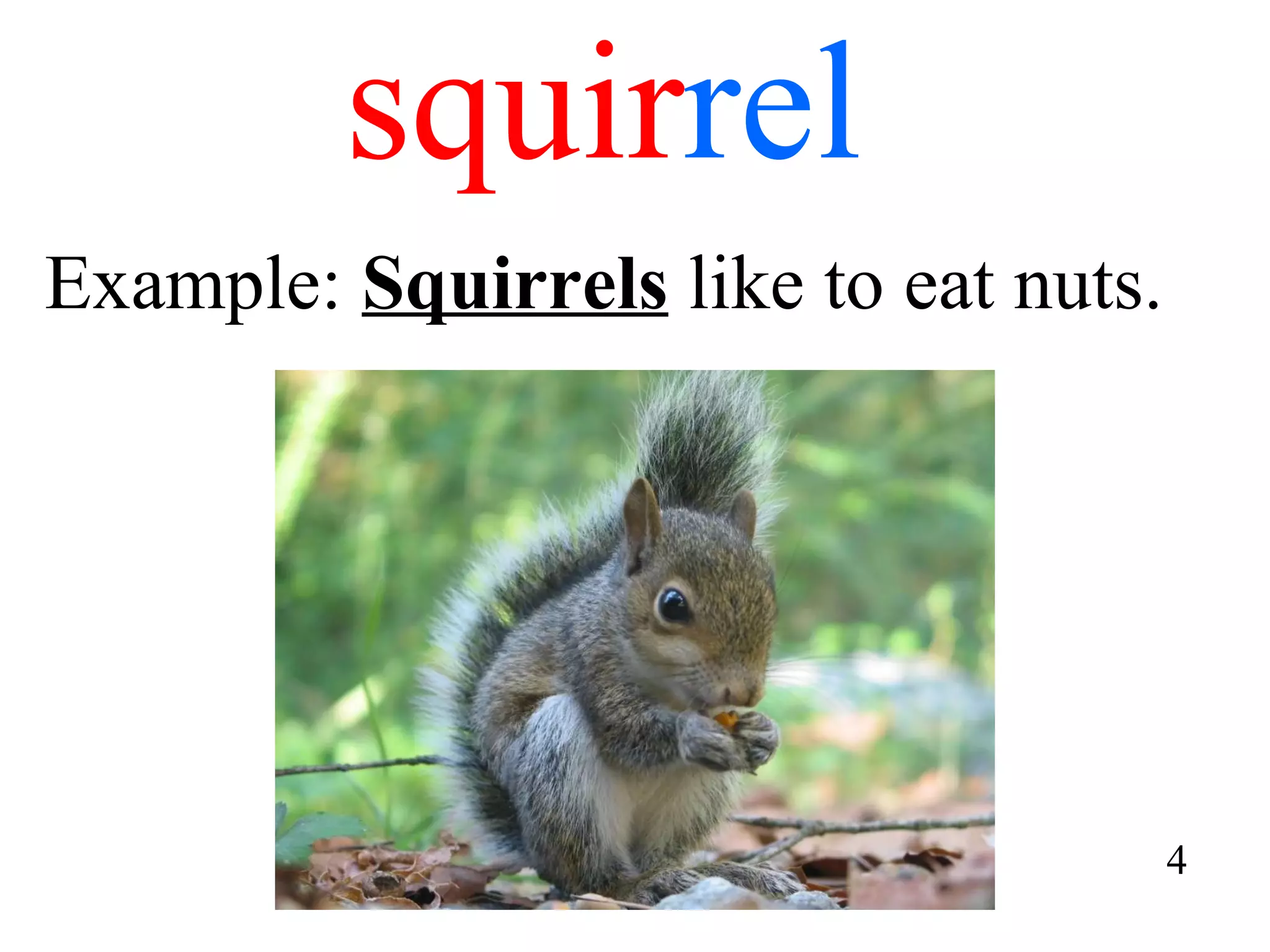 squir rel Example:  Squirrels  like to eat nuts. 4 