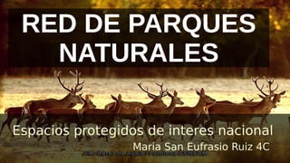 Espacios protegidos de interes nacional
Maria San Eufrasio Ruiz 4C
RED DE PARQUES
NATURALES
 