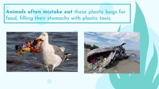 Animals often mistake eat these plastic bags for
food, filling their stomachs with plastic toxic.
 
