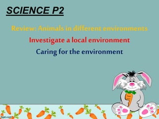 Review:Animals in different environments
Investigate a local environment
Caring for the environment
SCIENCE P2
 