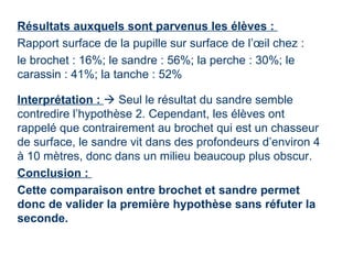Résultats auxquels sont parvenus les élèves :
Rapport surface de la pupille sur surface de l’œil chez :
le brochet : 16%; le sandre : 56%; la perche : 30%; le
carassin : 41%; la tanche : 52%

Interprétation :  Seul le résultat du sandre semble
contredire l’hypothèse 2. Cependant, les élèves ont
rappelé que contrairement au brochet qui est un chasseur
de surface, le sandre vit dans des profondeurs d’environ 4
à 10 mètres, donc dans un milieu beaucoup plus obscur.
Conclusion :
Cette comparaison entre brochet et sandre permet
donc de valider la première hypothèse sans réfuter la
seconde.
 